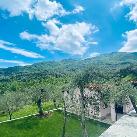 Casa Vacanze Gli Ulivi Borgomaro Dış mekan fotoğraf
