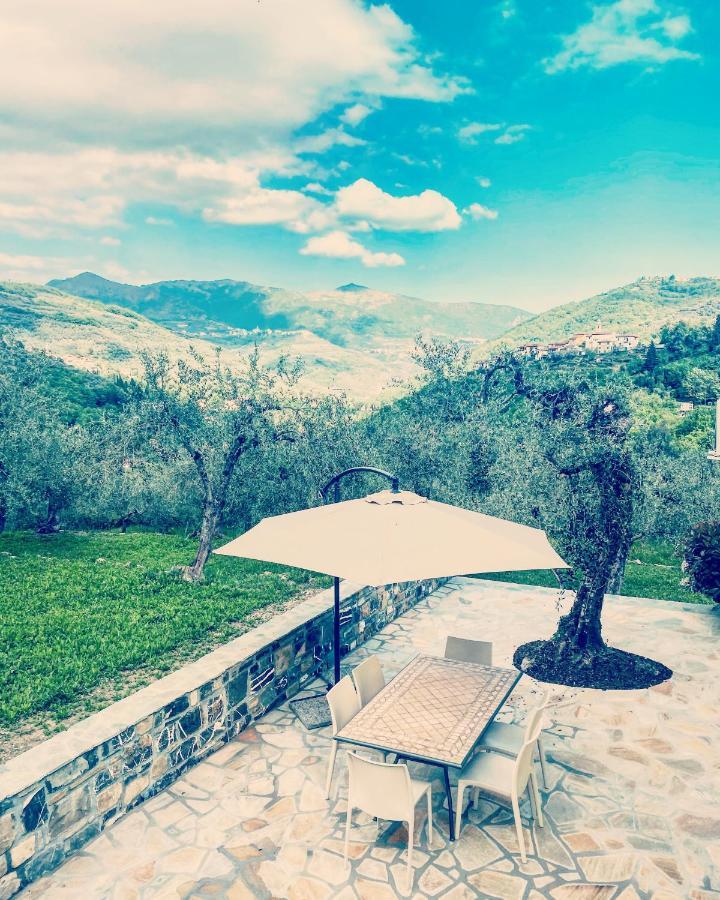Casa Vacanze Gli Ulivi Borgomaro Dış mekan fotoğraf