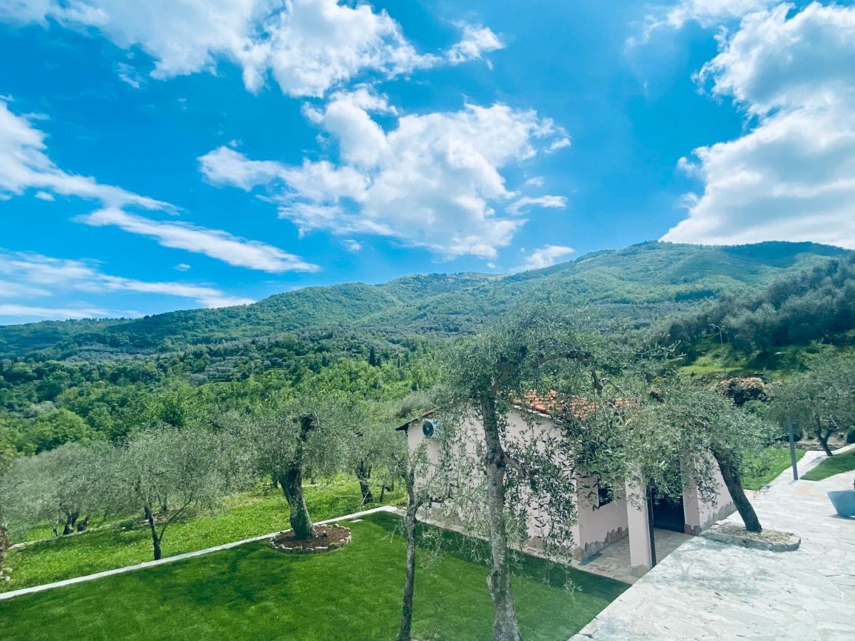 Casa Vacanze Gli Ulivi Borgomaro Dış mekan fotoğraf