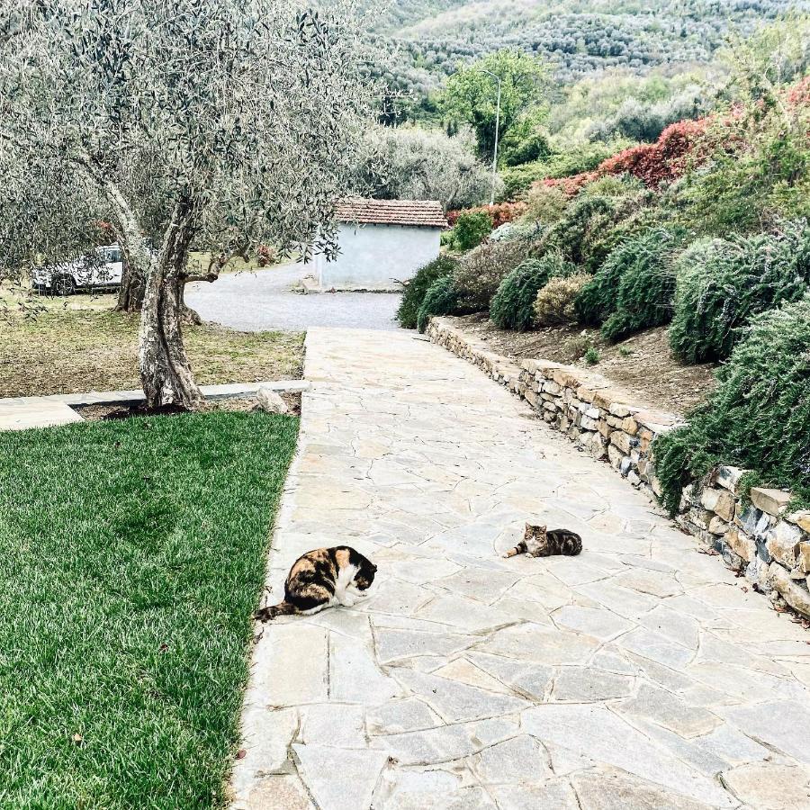 Casa Vacanze Gli Ulivi Borgomaro Dış mekan fotoğraf