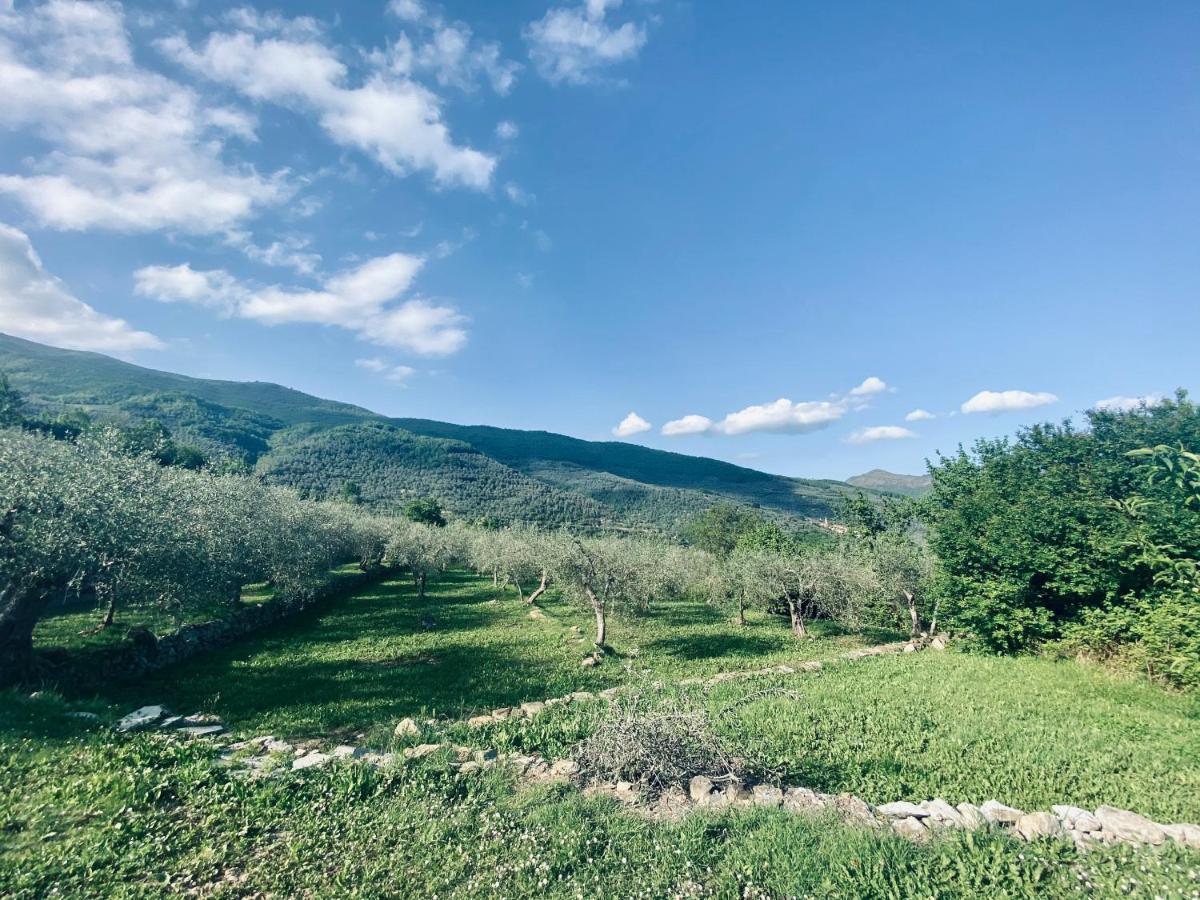 Casa Vacanze Gli Ulivi Borgomaro Dış mekan fotoğraf