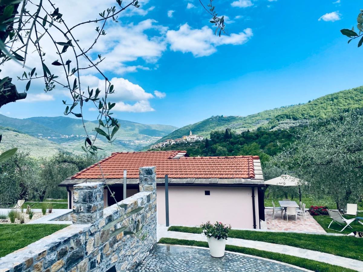 Casa Vacanze Gli Ulivi Borgomaro Dış mekan fotoğraf