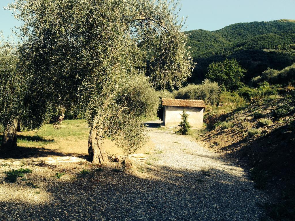 Casa Vacanze Gli Ulivi Borgomaro Oda fotoğraf