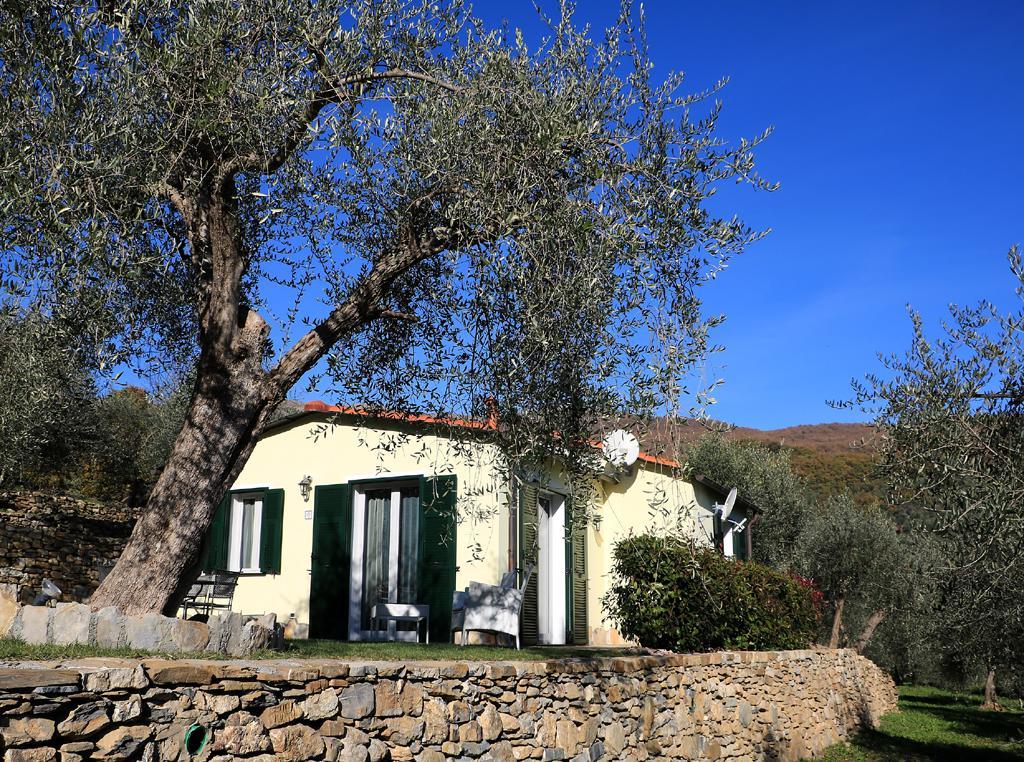 Casa Vacanze Gli Ulivi Borgomaro Dış mekan fotoğraf